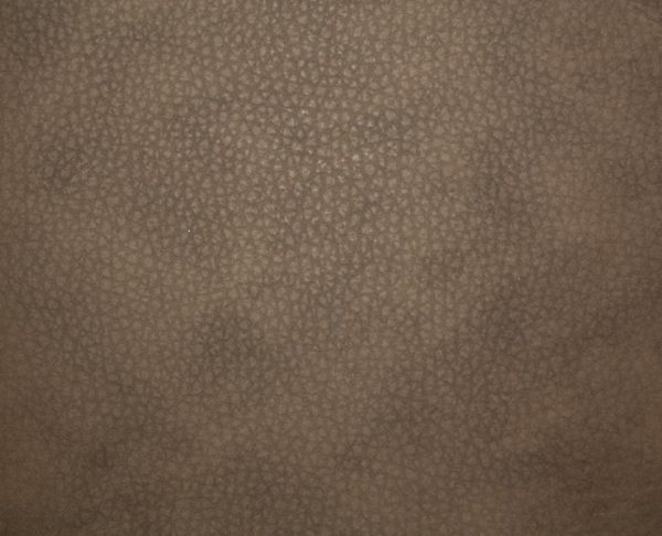 Eco Leather 106
